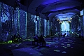 Claude Monet the immersive experience_115